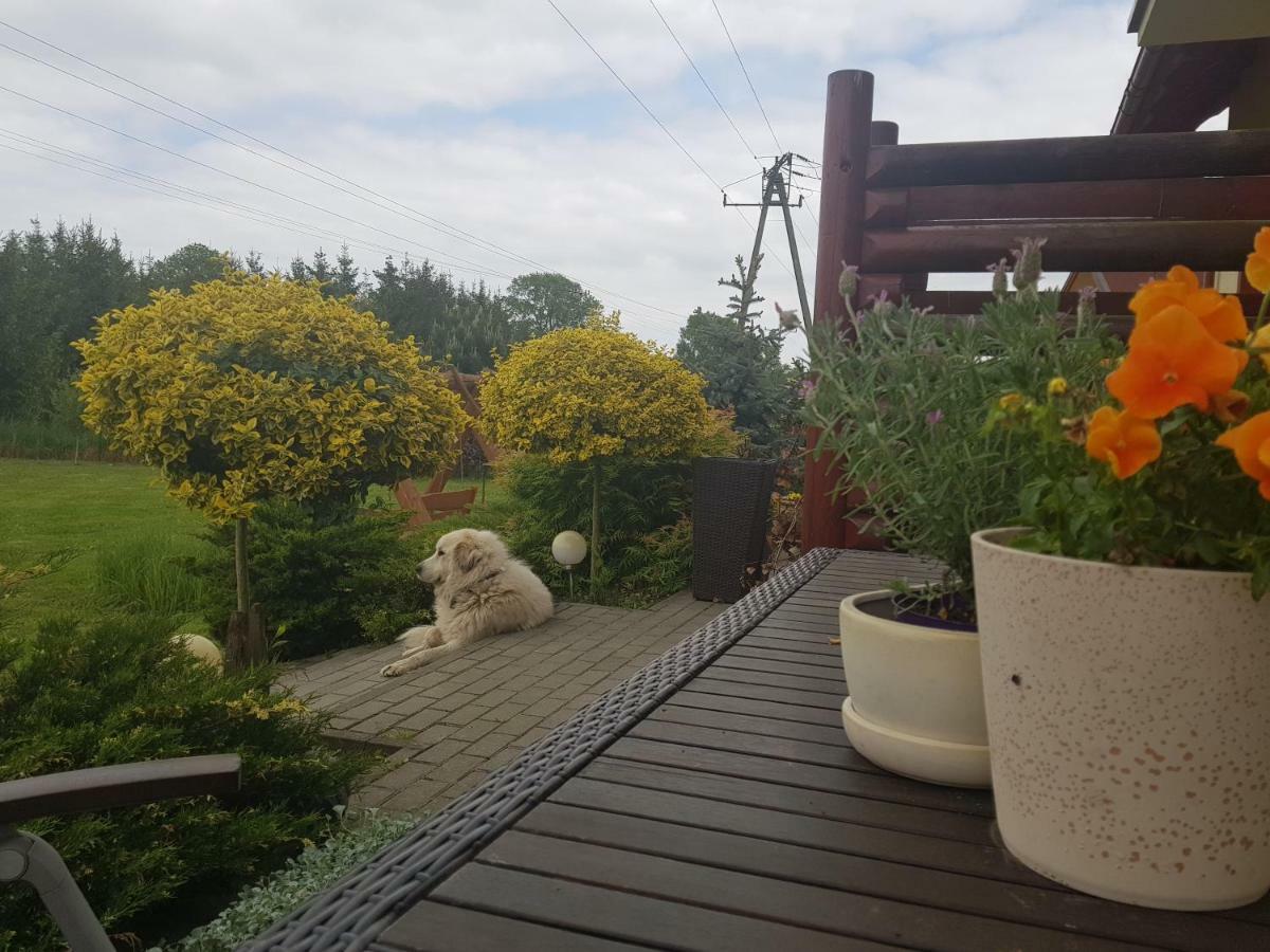 Domki I Pokoje Goscinne A A Malinowscy Стегна Экстерьер фото